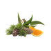 Аромат для сауни Harvia Cedar, Euca, Orange 100 мл